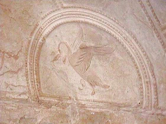 This relief in stucco adorned wall of a small room, possibly a bed chamber, of a dwelling in the Villa of the Ambulatio area. The dove carrying the an olive sprig symbolized a wish for peace and prosperity.
