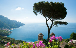 Amalfi Tree on top of hill