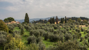 TourItalyBG001