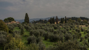 TourItalyBG001drk