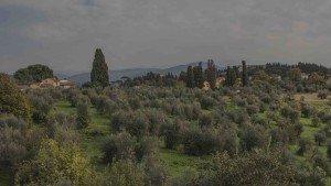 montepuncliano-touritaly-home-slider002