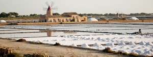 marsalasaltworkswindmill