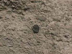 pumicewithlithic
