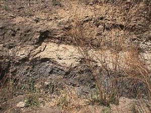 summitstratification